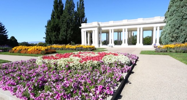 Casas Alquiler en Cheesman Park, CO