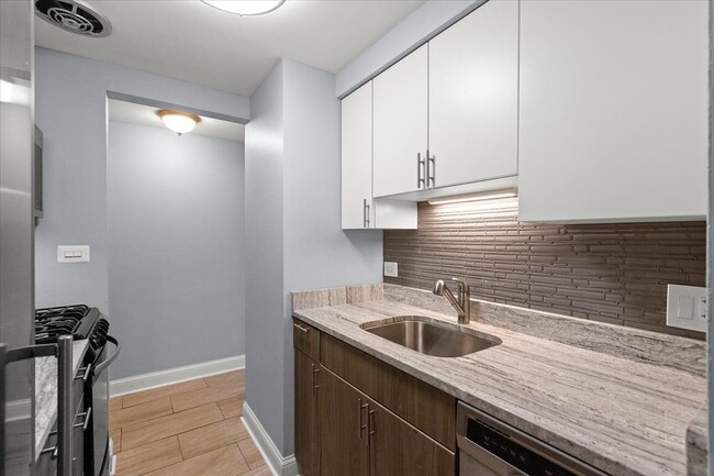 544 W Oakdale Ave in Chicago, IL - Building Photo - Building Photo