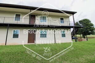 163 Tallent Way in Maryville, TN - Building Photo