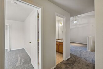 688 Bosque Vista Point in Colorado Springs, CO - Building Photo - Building Photo