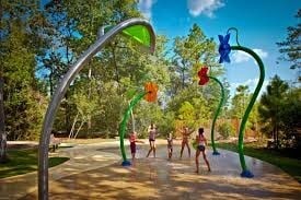 property at 162 Cheswood Forest Pl