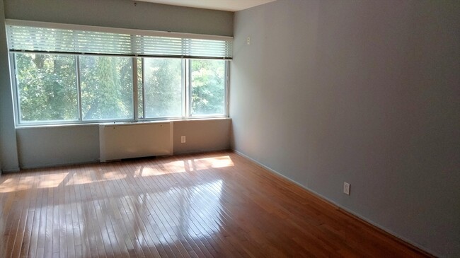 22 Chestnut Pl, Unit 316 in Brookline, MA - Building Photo - Building Photo