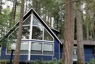 11415 Leschi Cir in Anderson Island, WA - Building Photo