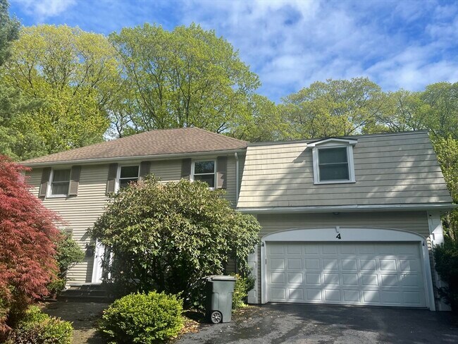 4 Paddock Ln in Lexington, MA - Building Photo - Building Photo