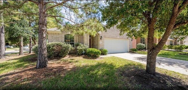 25807 Sundrop Meadows Ln in Katy, TX - Building Photo - Building Photo