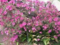 8100 Cambridge St - 26