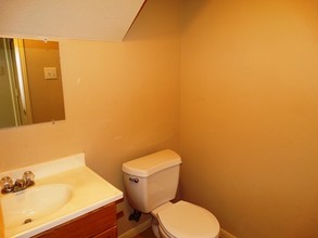 13042 Oconnor Cv in San Antonio, TX - Building Photo - Other