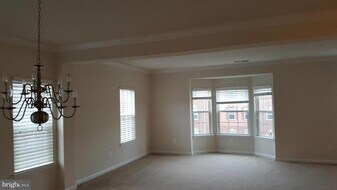 21616 Romans Dr in Ashburn, VA - Building Photo