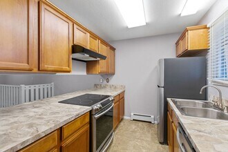 919 Conifer Ct in Windsor, CO - Building Photo - Building Photo