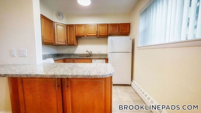 110 Babcock St in Brookline, MA - Building Photo - Building Photo