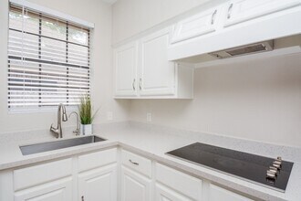 10 Heathstone Pl in Spring, TX - Building Photo - Building Photo