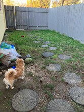 6520 SE Duke St in Portland, OR - Building Photo - Building Photo