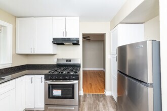 227 Custer Ave in Evanston, IL - Building Photo - Building Photo