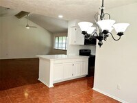 11918 Loveland Pass Dr photo'