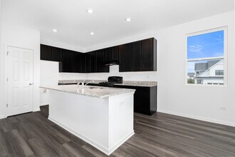 4209 Chelsea Mnr Cir in Aurora, IL - Building Photo - Building Photo