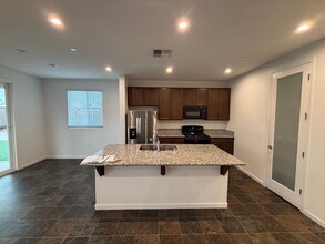 261 Senator St in Lathrop, CA - Building Photo - Building Photo