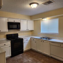 10013 Spring Pl Dr in Houston, TX - Building Photo - Building Photo