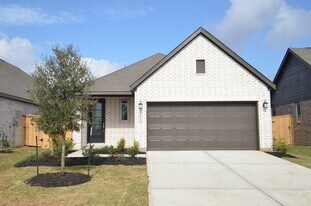 29034 Bison Hvn Dr in Hockley, TX - Building Photo