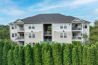 Ashburn Meadows in Ashburn, VA - Foto de edificio - Building Photo