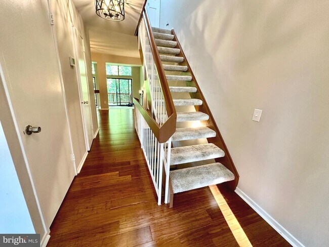 1526 Scandia Cir in Reston, VA - Building Photo - Building Photo