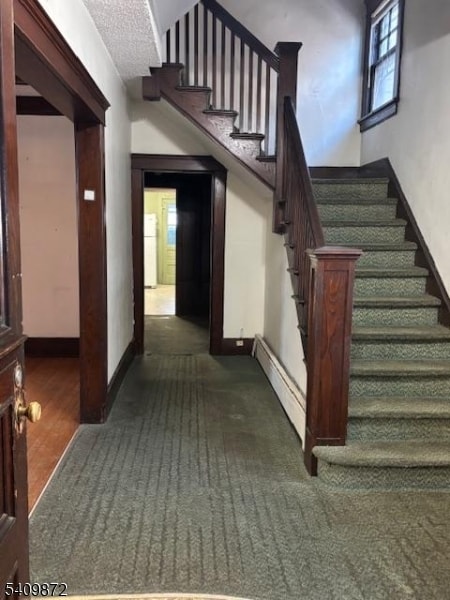 15 Albion St in Passaic, NJ - Building Photo - Building Photo