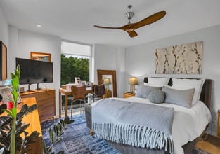 1115 S Alamo St in San Antonio, TX - Building Photo - Building Photo