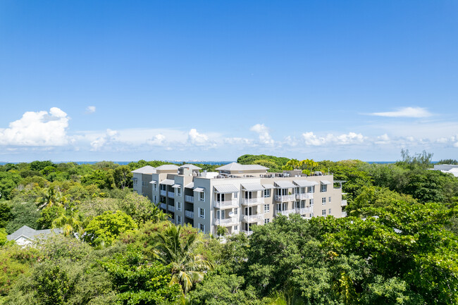 Grove Garden in Miami, FL - Foto de edificio - Building Photo