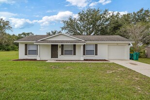 102 Cricket Hollow Ln in Eustis, FL - Building Photo