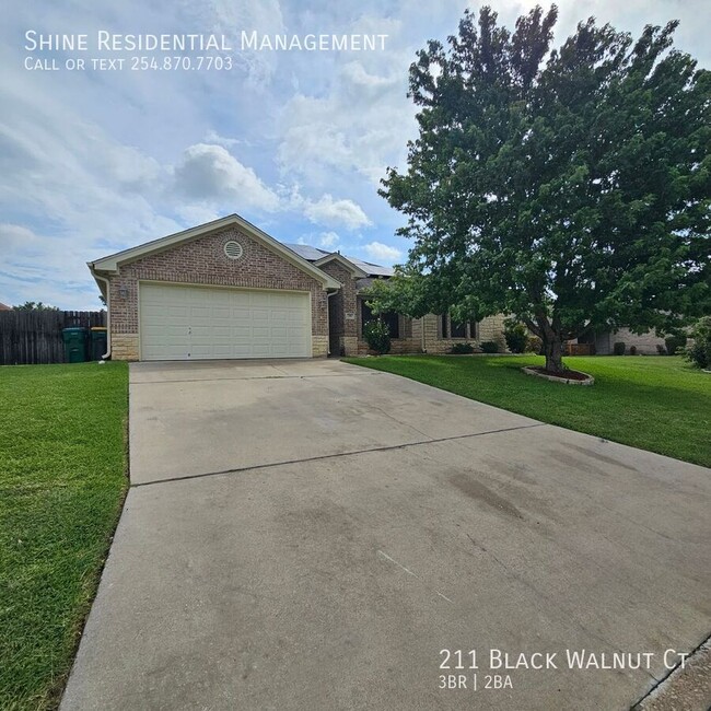 property at 211 Black Walnut Ct