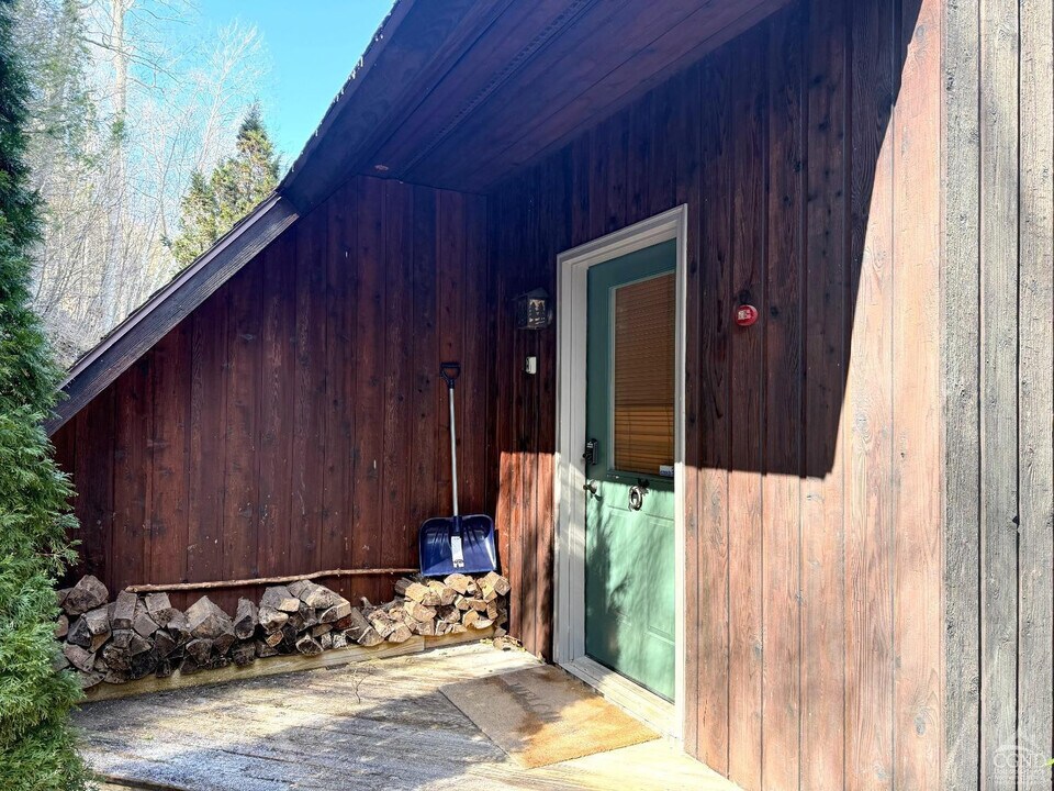 121 Brainard Ridge Rd in Windham, NY - Building Photo
