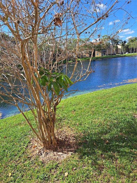 310 Palm Cir E, Unit 310 in Pembroke Pines, FL - Foto de edificio - Building Photo