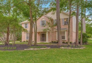 2 Twin Feather Pl in Spring, TX - Building Photo