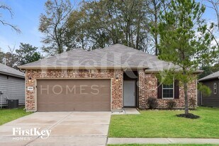 4290 Roaring Timber Dr in Conroe, TX - Building Photo