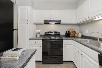 Brendon Park Apartments in Knoxville, TN - Building Photo - Building Photo