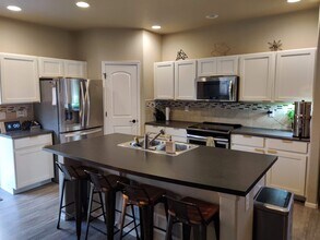 2036 Day Spring Dr in Windsor, CO - Building Photo - Building Photo