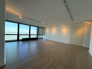 910 N Lake Shore Dr in Chicago, IL - Building Photo - Building Photo