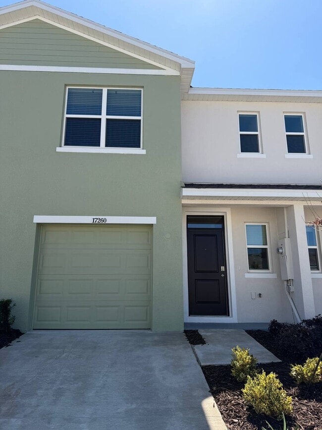 17260 English Chestnut Way in Land O Lakes, FL - Foto de edificio - Building Photo