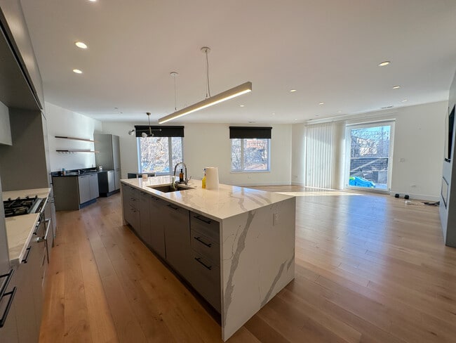 550 N Ogden Ave in Chicago, IL - Building Photo - Building Photo