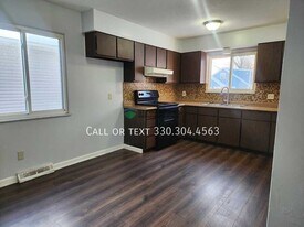 787 Georgia Ave in Akron, OH - Building Photo