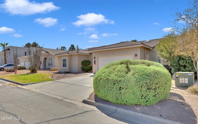 232 Ave Mirador in Santa Teresa, NM - Building Photo - Building Photo