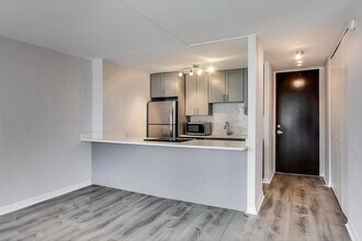535 N Michigan Ave in Chicago, IL - Building Photo - Building Photo