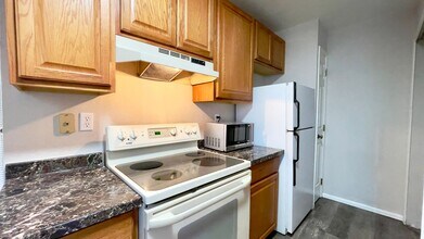 953 Tampico Ct in Colorado Springs, CO - Foto de edificio - Building Photo