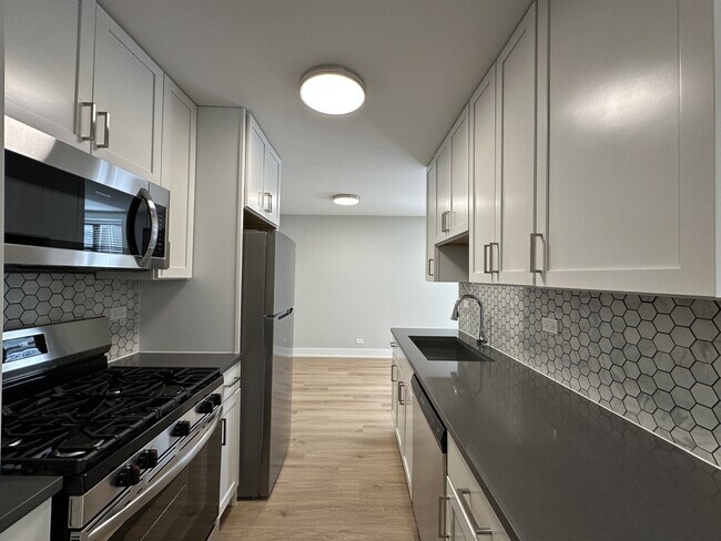 535 W Aldine Ave in Chicago, IL - Building Photo - Building Photo