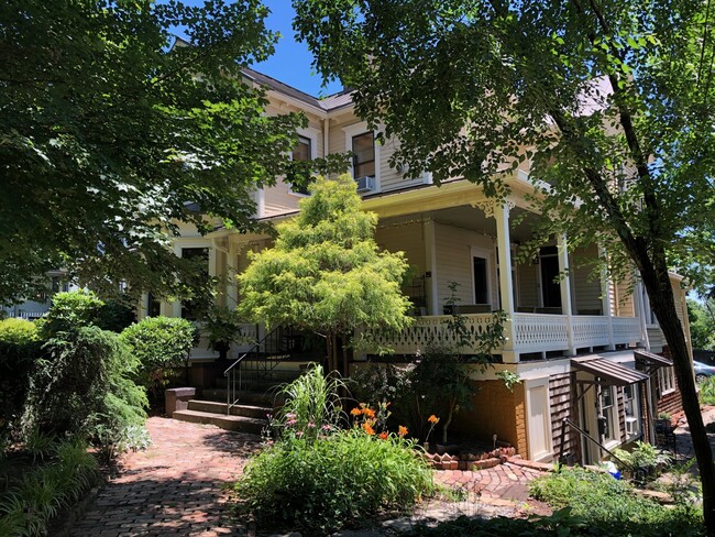 147 E Chestnut St, Unit 3 in Asheville, NC - Building Photo - Building Photo