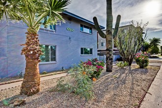 Sunshine Apartments in Scottsdale, AZ - Building Photo - Building Photo