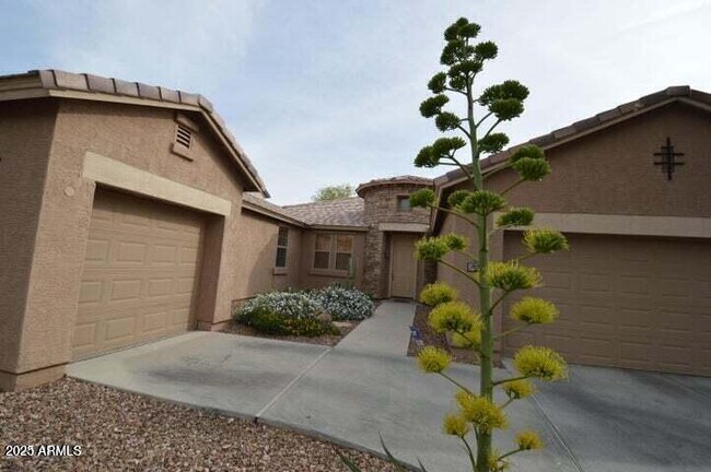 857 W Glenmere Dr in Chandler, AZ - Foto de edificio - Building Photo