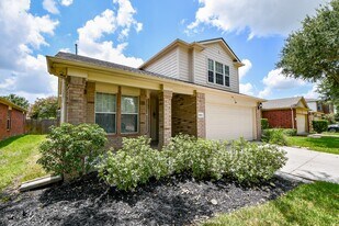 19915 Juniper Berry Dr in Richmond, TX - Building Photo