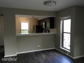 818 W Willow St in Chicago, IL - Building Photo - Building Photo