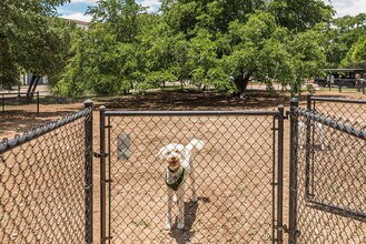 Paseo at Bee Cave in Bee Cave, TX - Foto de edificio - Building Photo
