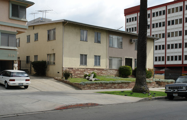 532 S Harvard Blvd in Los Angeles, CA - Building Photo - Building Photo